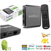 Wellbox Android 12 Wellbox Max2 Android Tv Box Tvbox Iptv Media Player 2Gb Ram 16Gb Hafıza